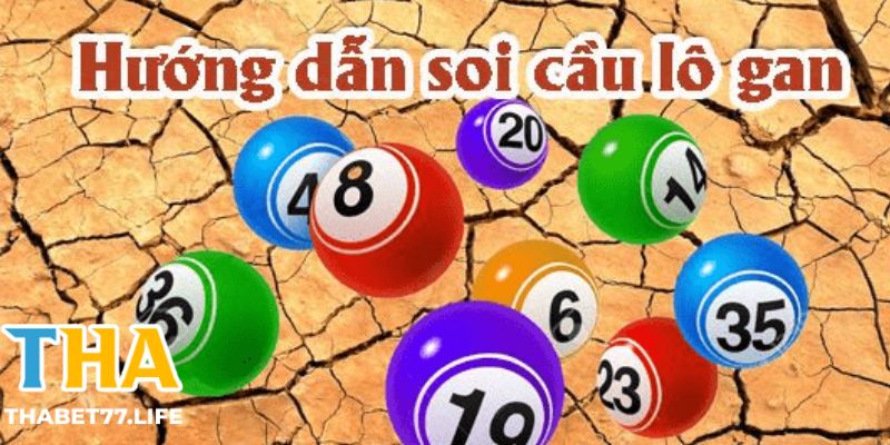 Khái Niệm Lô Gan Và Những Thông Tin Người Chơi Cần Biết