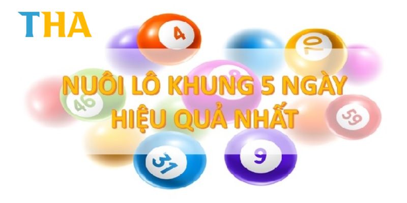 Nuôi lô khung năm ngày hiệu quả nhất